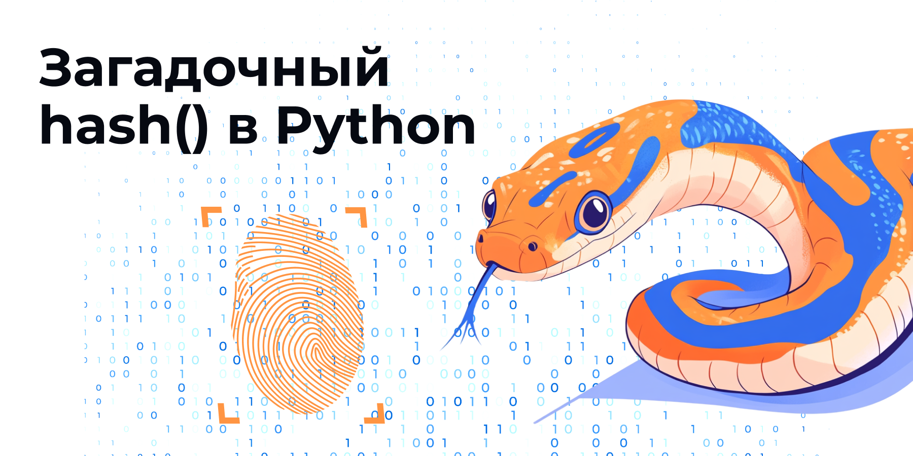 Загадочная функция hash в Python